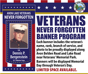 Veterans' Banners
